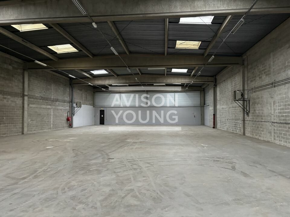 AVISON YOUNG LOCATION-LOCAL D'ACTIVITE-L'HA--LES-ROSES-94