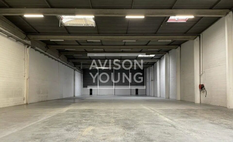 AVISON YOUNG LOCATION-LOCAL D'ACTIVITE-ANTONY-92