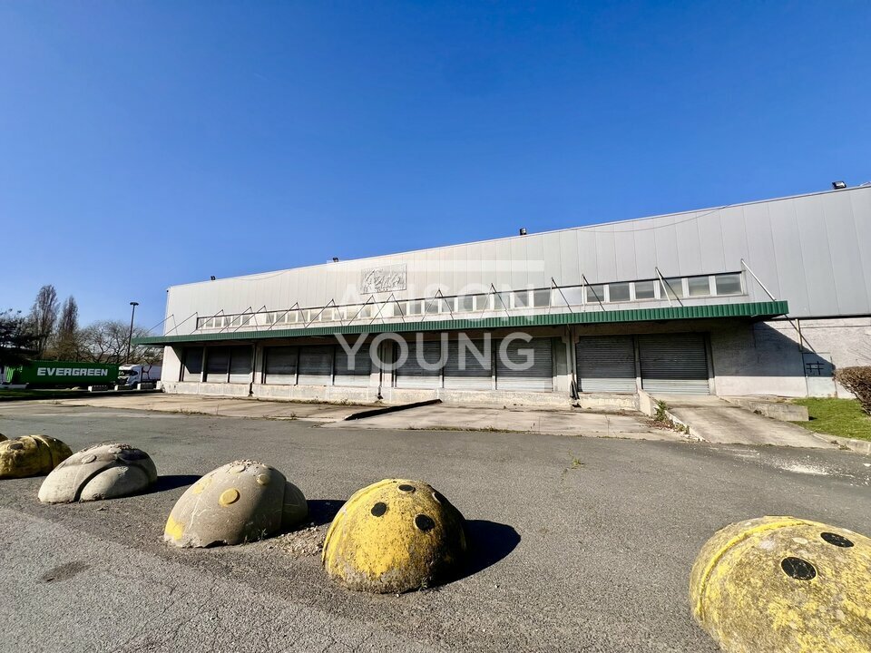 AVISON YOUNG LOCATION-LOCAL D'ACTIVITE-AULNAY-SOUS-BOIS-93