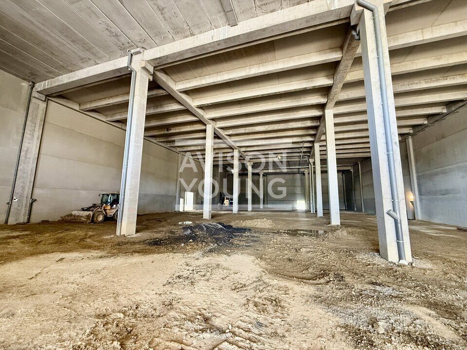 AVISON YOUNG LOCATION-LOCAL D'ACTIVITE-GONESSE-95