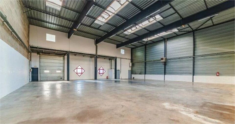 AVISON YOUNG LOCATION-LOCAL D'ACTIVITE-ELANCOURT-78