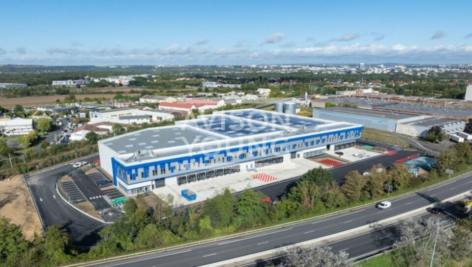 AVISON YOUNG LOCATION-LOCAL D'ACTIVITE-CONFLANS-SAINTE-HONORINE-78