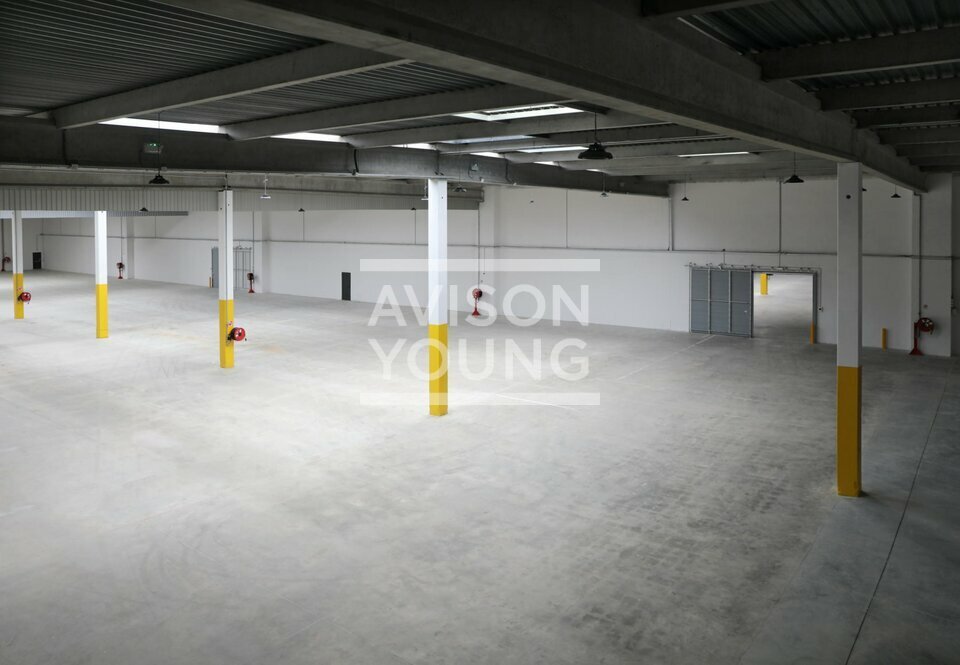 AVISON YOUNG LOCATION-LOCAL D'ACTIVITE-GARGES-LES-GONESSE-95