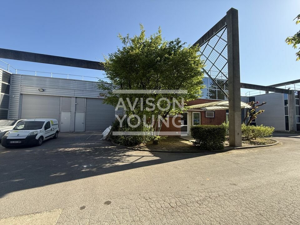 AVISON YOUNG LOCATION-LOCAL D'ACTIVITE-SAINT-THIBAULT-DES-VIGNES-77