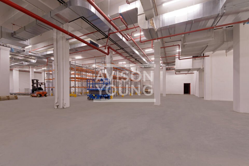 AVISON YOUNG LOCATION-LOCAL D'ACTIVITE-PARIS-75