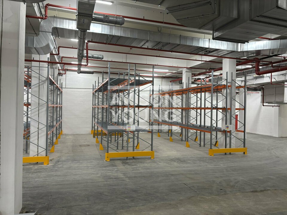 AVISON YOUNG LOCATION-LOCAL D'ACTIVITE-PARIS-75