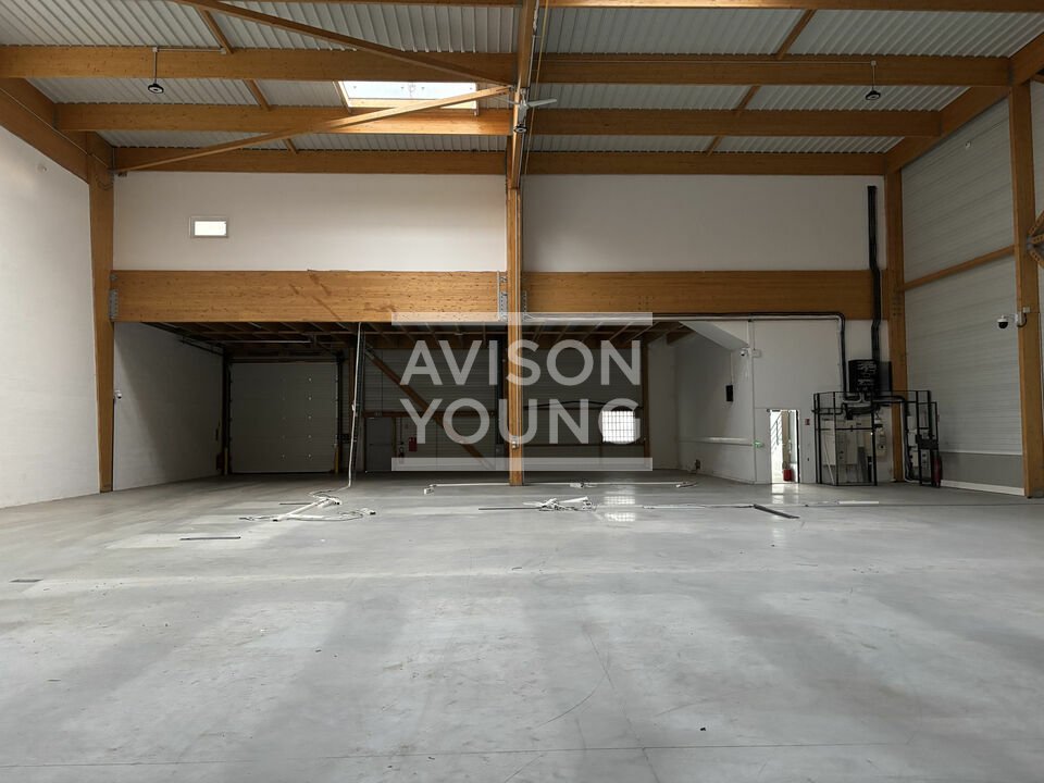 AVISON YOUNG LOCATION-LOCAL D'ACTIVITE-ROMAINVILLE-93