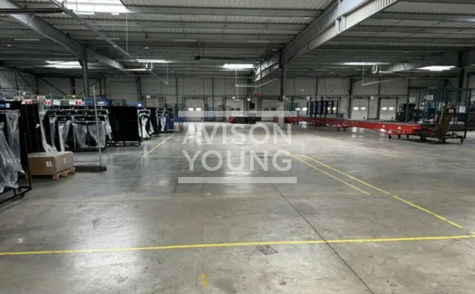 AVISON YOUNG LOCATION-LOCAL D'ACTIVITE-BRIE-COMTE-ROBERT-77