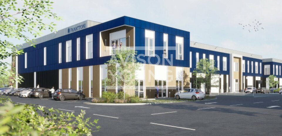 AVISON YOUNG LOCATION-LOCAL D'ACTIVITE-MOISSY-CRAMAYEL-77
