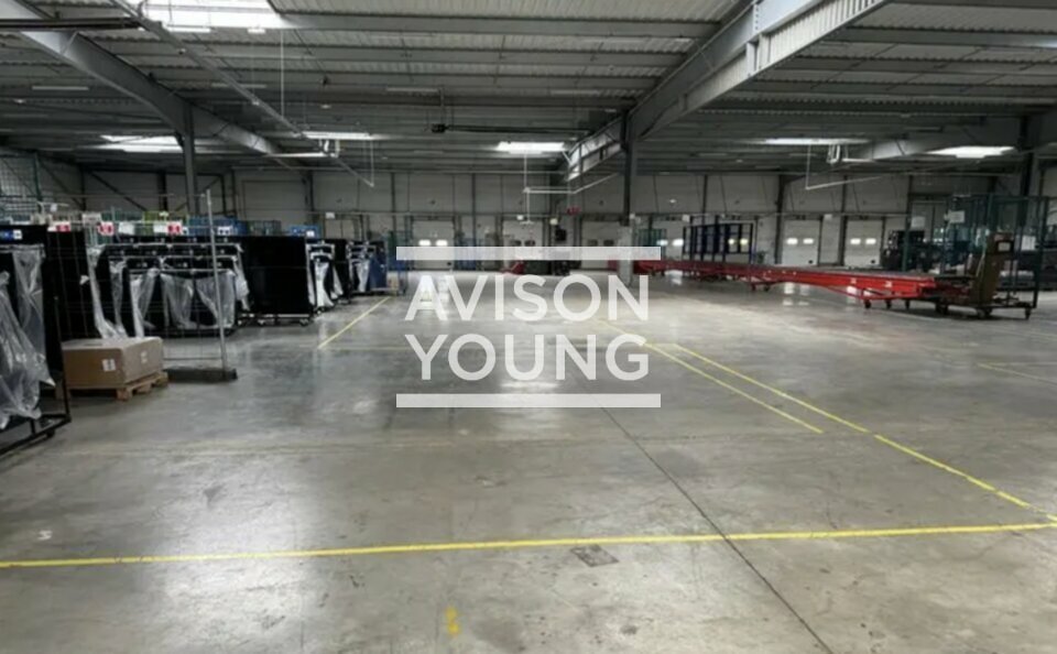 AVISON YOUNG LOCATION-LOCAL D'ACTIVITE-BRIE-COMTE-ROBERT-77