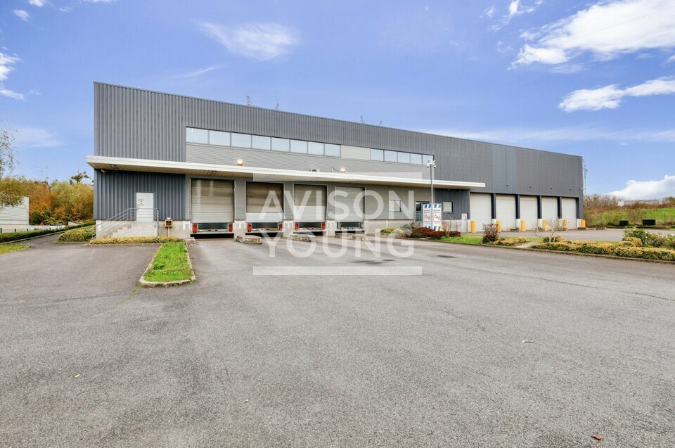 AVISON YOUNG LOCATION-LOCAL D'ACTIVITE-VILLEPARISIS-77
