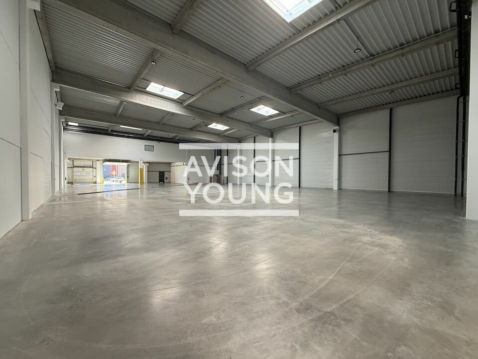 AVISON YOUNG LOCATION-LOCAL D'ACTIVITE-MITRY-MORY-77