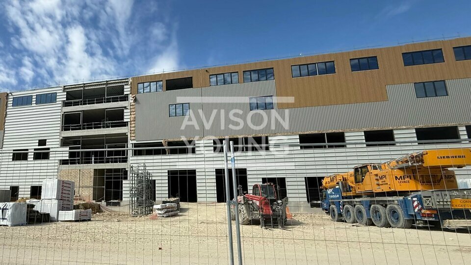 AVISON YOUNG LOCATION-LOCAL D'ACTIVITE-GONESSE-95