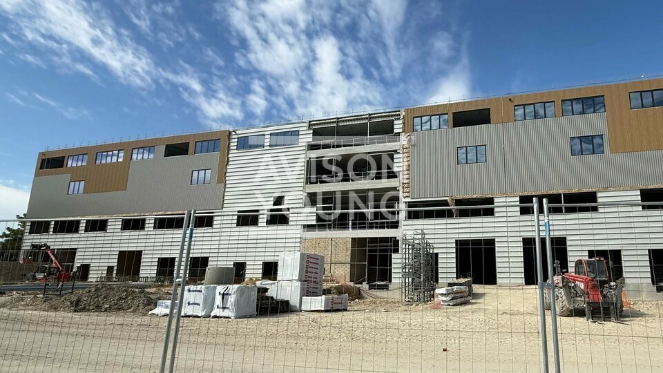 AVISON YOUNG LOCATION-LOCAL D'ACTIVITE-GONESSE-95
