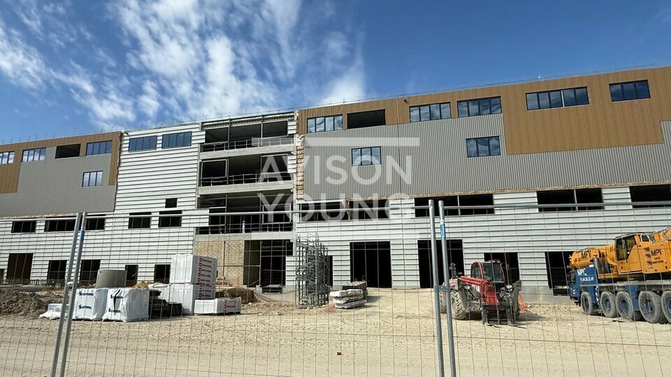 AVISON YOUNG LOCATION-LOCAL D'ACTIVITE-GONESSE-95