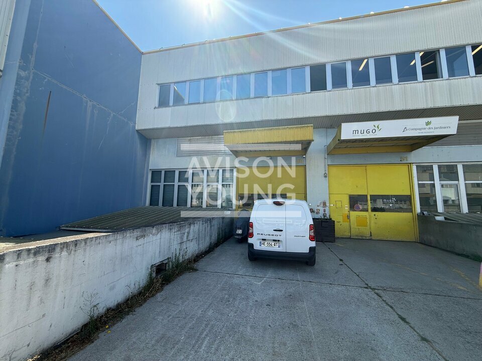 AVISON YOUNG LOCATION-LOCAL D'ACTIVITE-PARIS-75