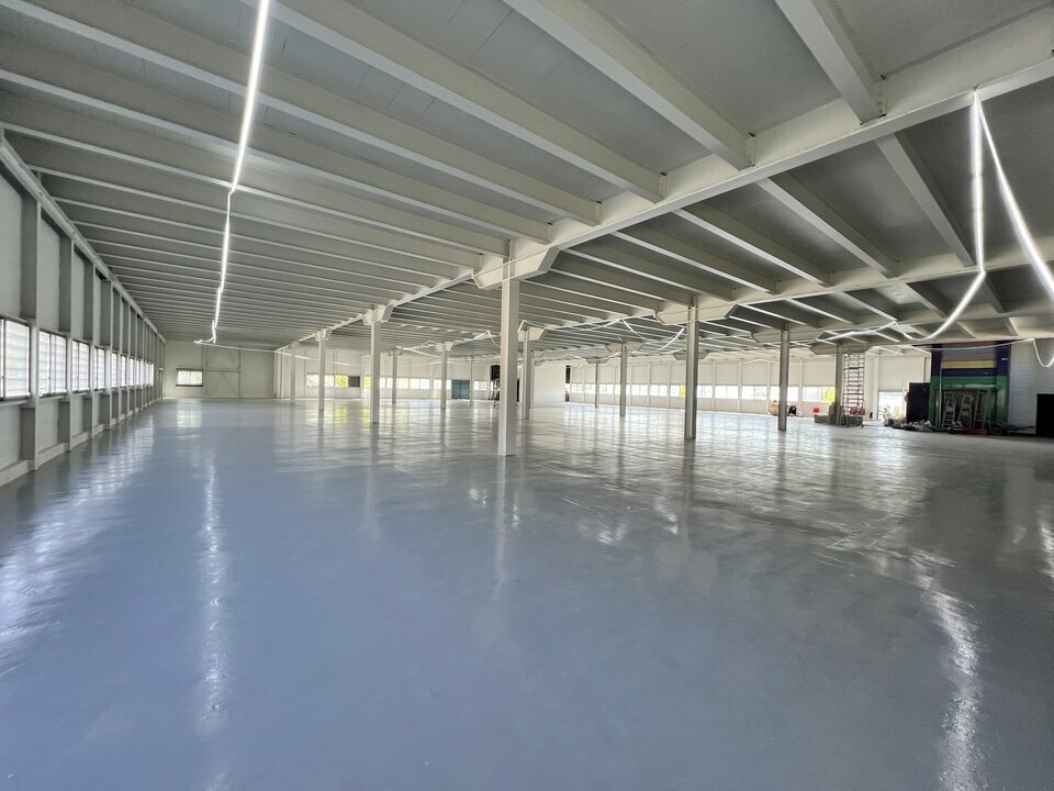 AVISON YOUNG LOCATION-LOCAL D'ACTIVITE-SAINT-DENIS-93