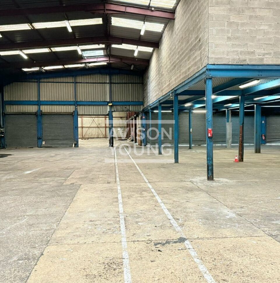 AVISON YOUNG LOCATION-LOCAL D'ACTIVITE-MORANGIS-91
