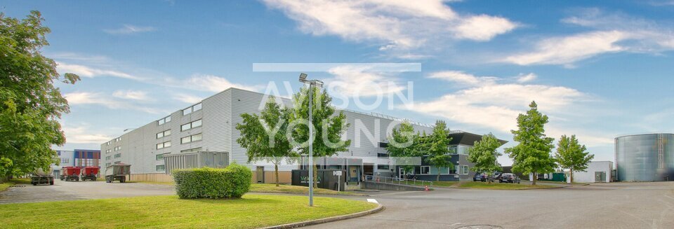 AVISON YOUNG LOCATION-LOCAL D'ACTIVITE-SAINT-MICHEL-SUR-ORGE-91