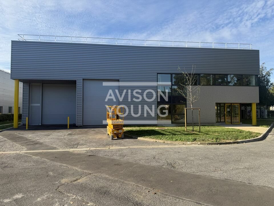 AVISON YOUNG LOCATION-LOCAL D'ACTIVITE-LE_MESNIL_AMELOT-77