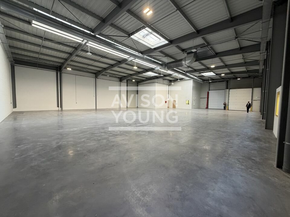 AVISON YOUNG LOCATION-LOCAL D'ACTIVITE-LE_MESNIL_AMELOT-77