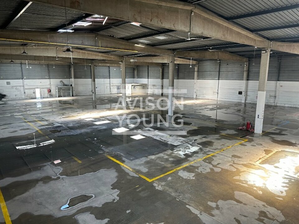 AVISON YOUNG LOCATION-LOCAL D'ACTIVITE-MORANGIS-91