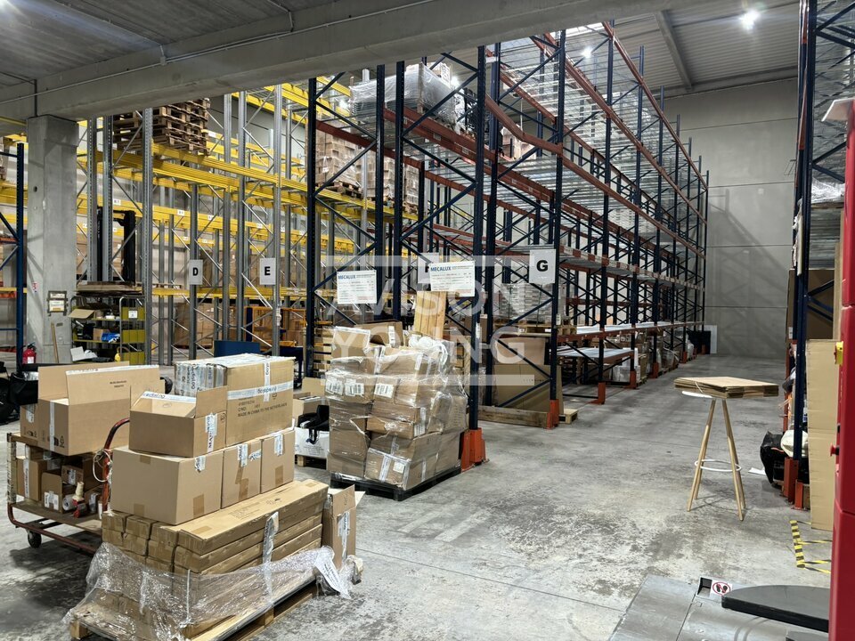 AVISON YOUNG LOCATION-LOCAL D'ACTIVITE-STAINS-93
