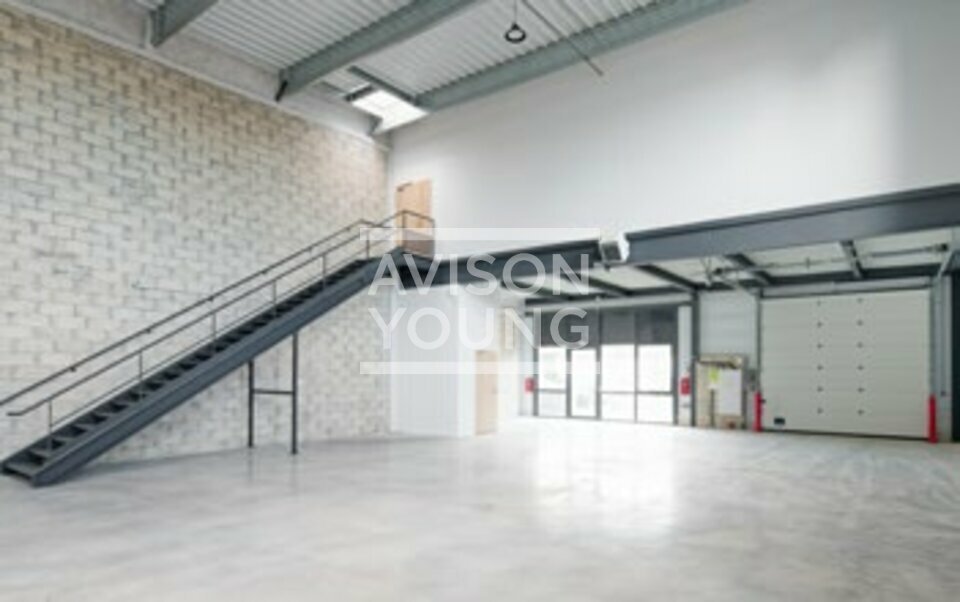 AVISON YOUNG LOCATION-LOCAL D'ACTIVITE-ERAGNY-95