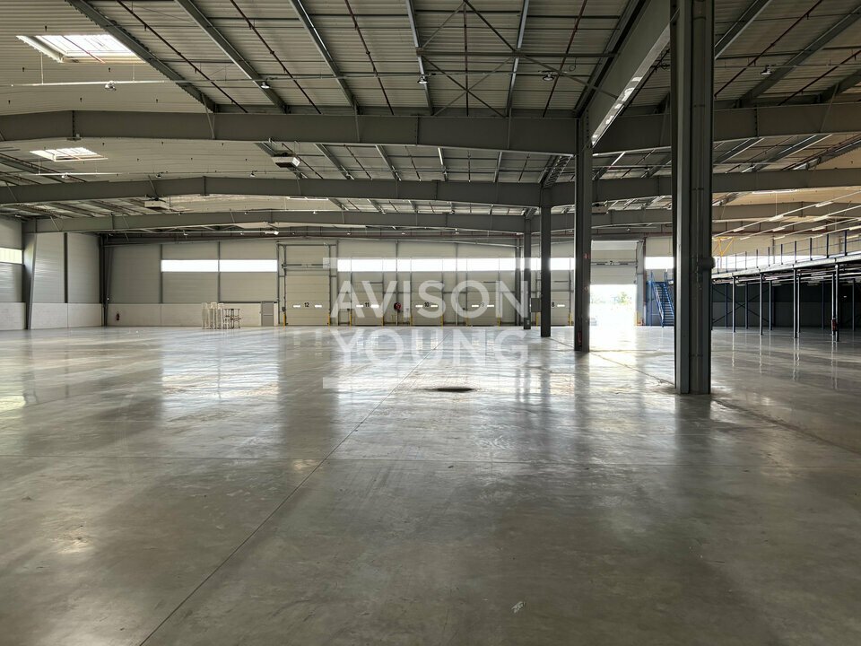 AVISON YOUNG LOCATION-LOCAL D'ACTIVITE-WISSOUS-91