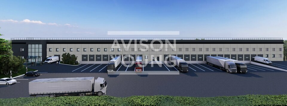 AVISON YOUNG LOCATION-LOCAL D'ACTIVITE-LISSES-91