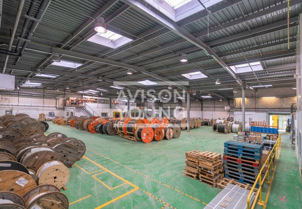 AVISON YOUNG LOCATION-LOCAL D'ACTIVITE-PALAISEAU-91