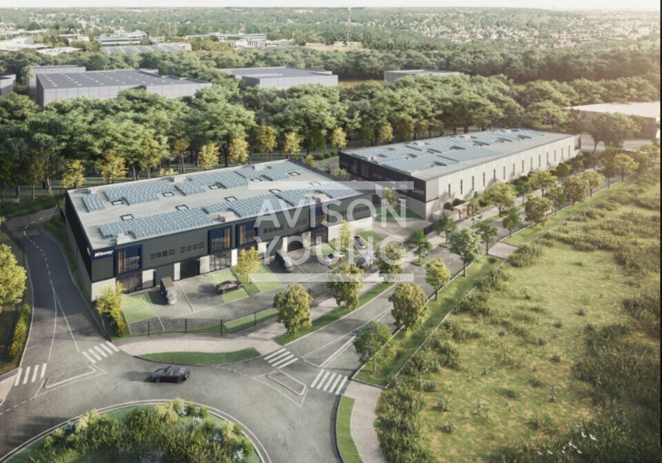 AVISON YOUNG LOCATION-LOCAL D'ACTIVITE-VILLEBON-SUR-YVETTE-91