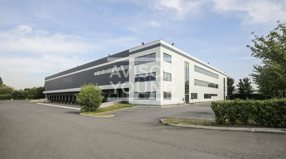 AVISON YOUNG LOCATION-LOCAL D'ACTIVITE-CHILLY-MAZARIN-91