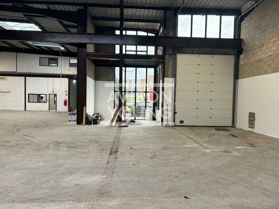 AVISON YOUNG LOCATION-LOCAL D'ACTIVITE-LE_THILLAY-95