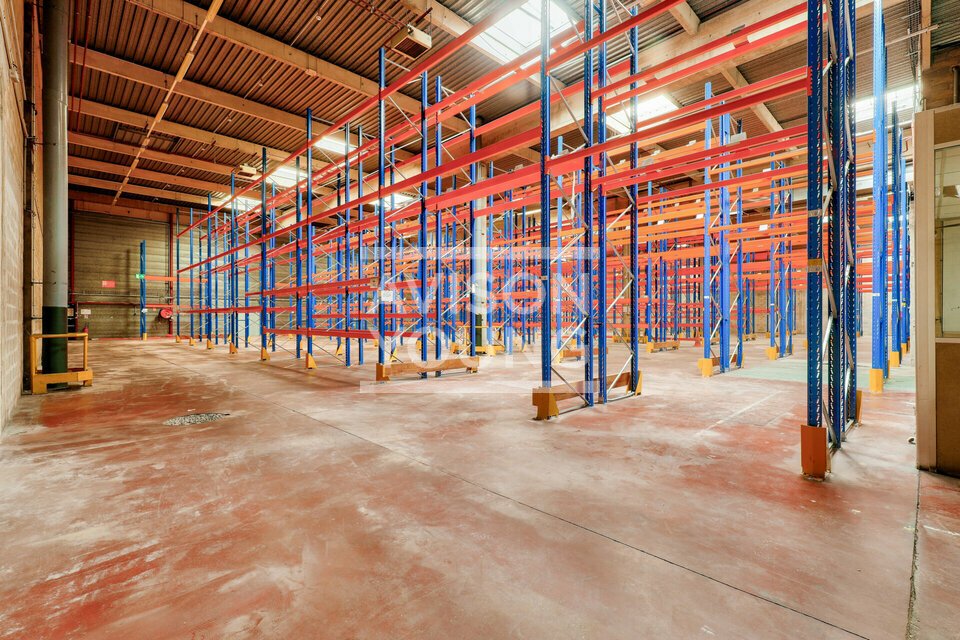 AVISON YOUNG LOCATION-LOCAL D'ACTIVITE-GENNEVILLIERS-92