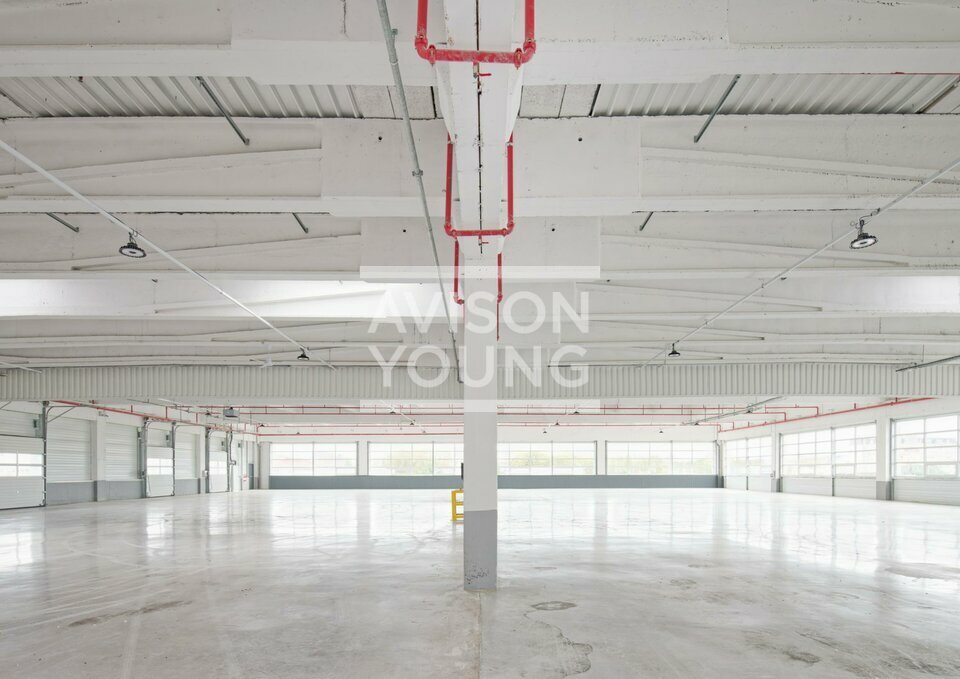 AVISON YOUNG LOCATION-LOCAL D'ACTIVITE-GENNEVILLIERS-92