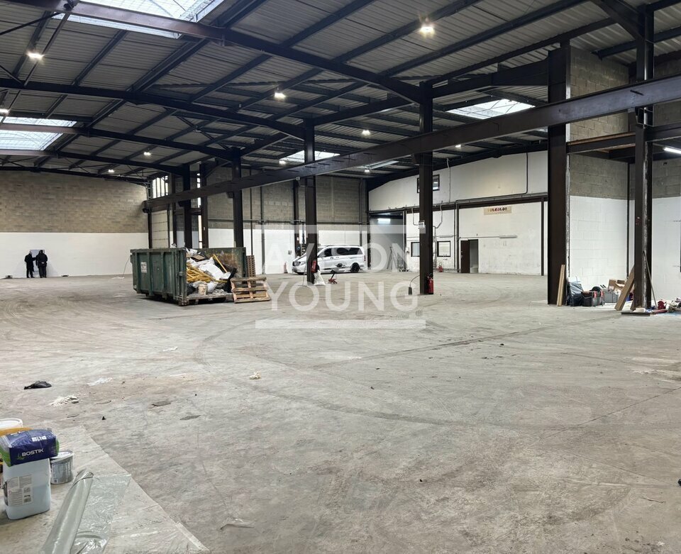 AVISON YOUNG LOCATION-LOCAL D'ACTIVITE-LE_THILLAY-95