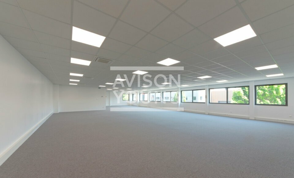 AVISON YOUNG LOCATION-LOCAL D'ACTIVITE-LE_BLANC-MESNIL-93