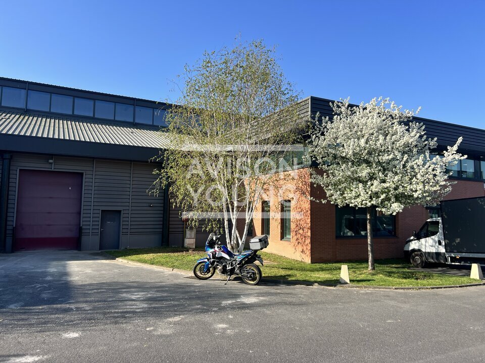 AVISON YOUNG LOCATION-LOCAL D'ACTIVITE-SAINT-DENIS-93