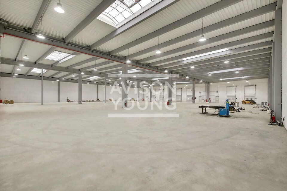 AVISON YOUNG LOCATION-LOCAL D'ACTIVITE-TREMBLAY-EN-FRANCE-93