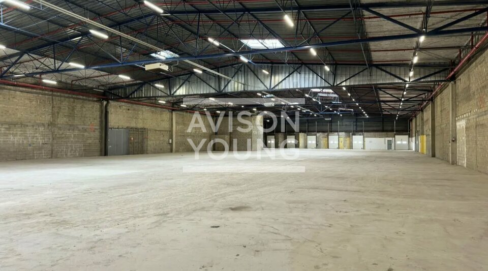 AVISON YOUNG LOCATION-LOCAL D'ACTIVITE-PANTIN-93