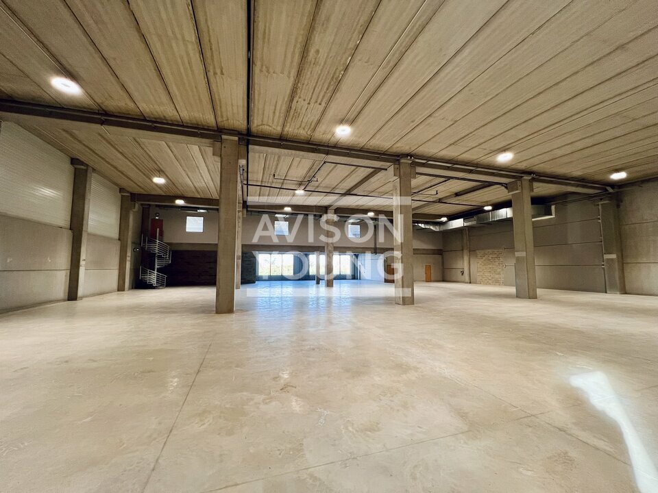 AVISON YOUNG LOCATION-LOCAL D'ACTIVITE-TREMBLAY_EN_FRANCE-93
