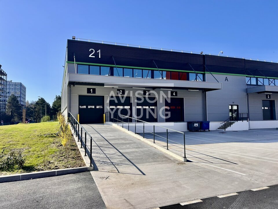 AVISON YOUNG LOCATION-LOCAL D'ACTIVITE-AULNAY-SOUS-BOIS-93