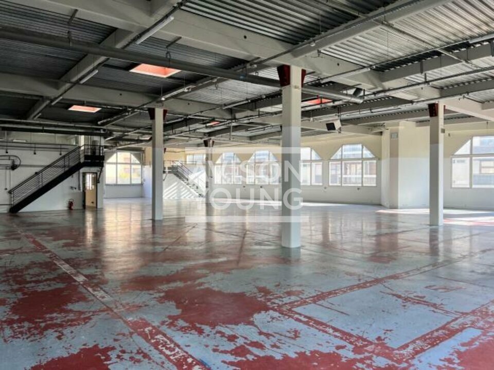 AVISON YOUNG LOCATION-LOCAL D'ACTIVITE-AUBERVILLIERS-93
