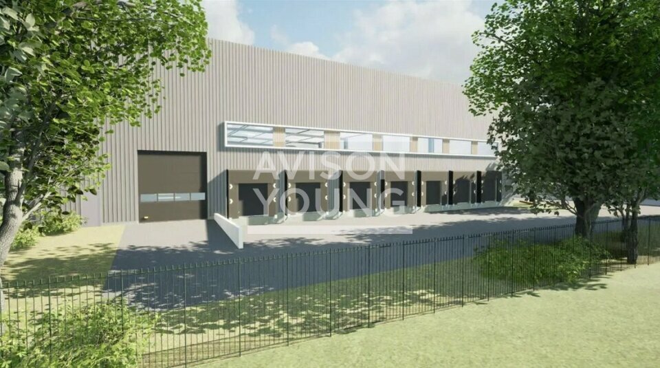 AVISON YOUNG LOCATION-LOCAL D'ACTIVITE-AUBERVILLIERS-93