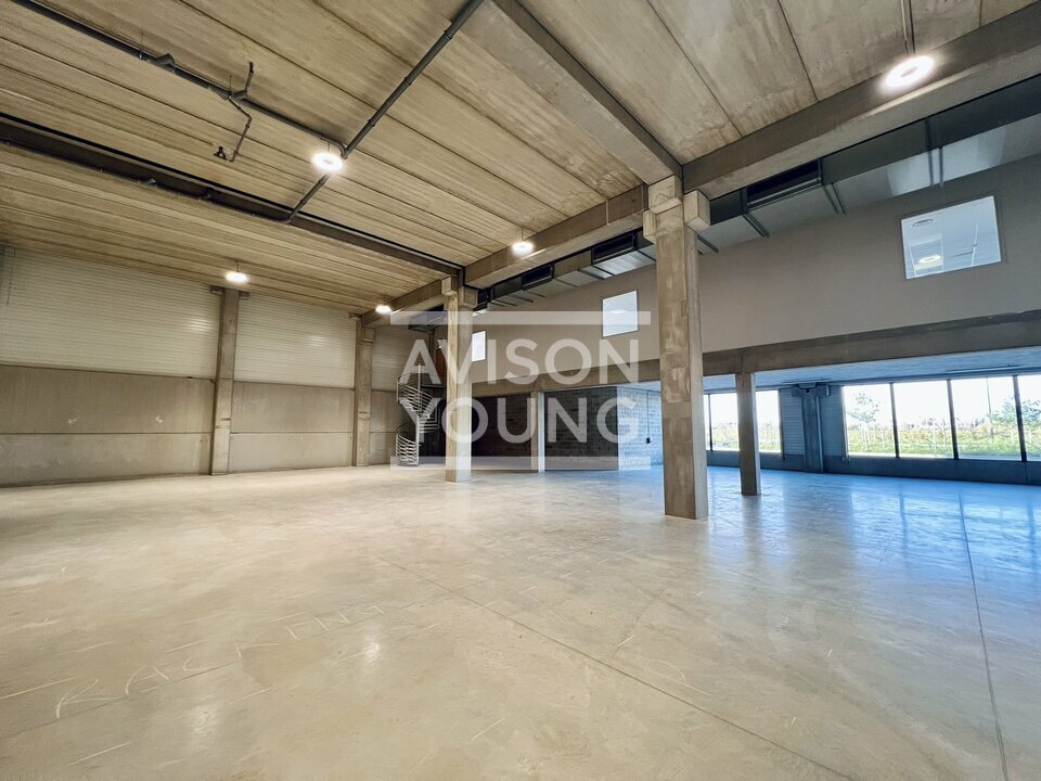 AVISON YOUNG LOCATION-LOCAL D'ACTIVITE-TREMBLAY_EN_FRANCE-93