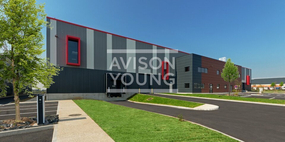 AVISON YOUNG LOCATION-LOCAL D'ACTIVITE-LE_THILLAY-95