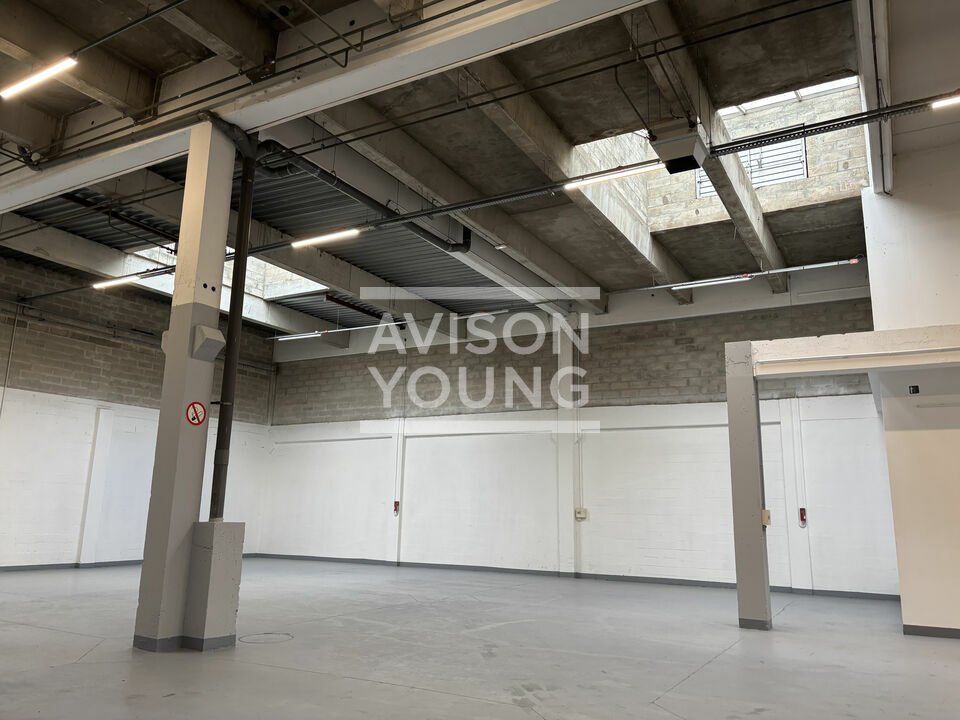 AVISON YOUNG LOCATION-LOCAL D'ACTIVITE-AULNAY-SOUS-BOIS-93