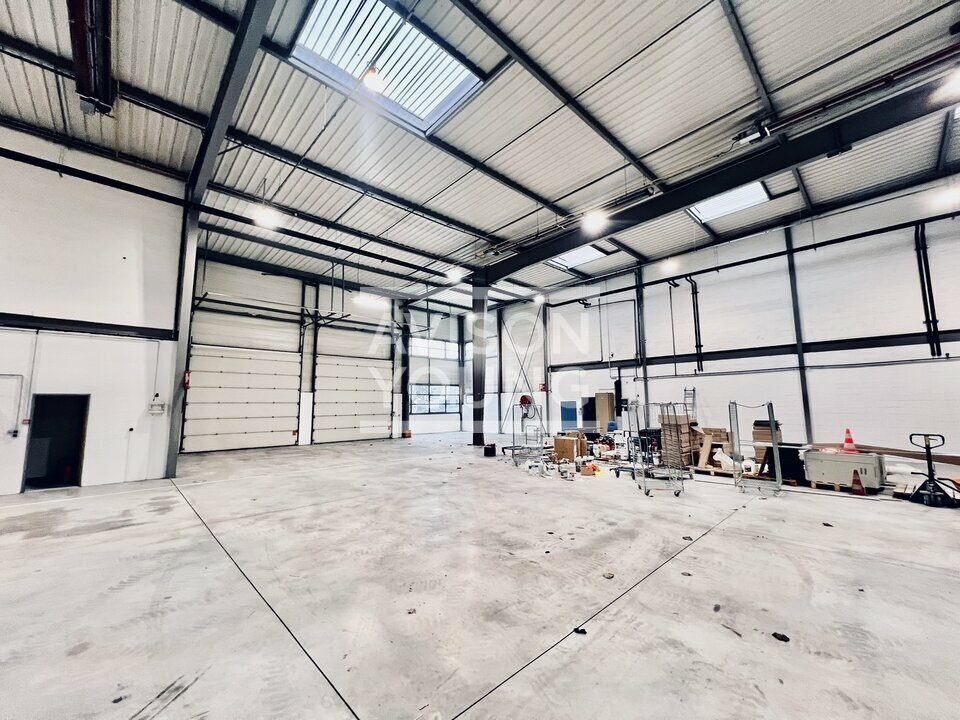 AVISON YOUNG LOCATION-LOCAL D'ACTIVITE-LA_COURNEUVE-93