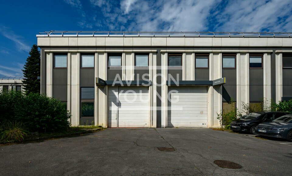 AVISON YOUNG LOCATION-LOCAL D'ACTIVITE-CERGY-95